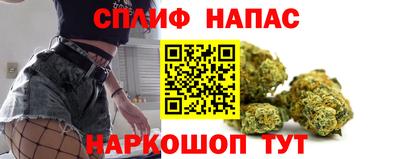 стаф Донецк