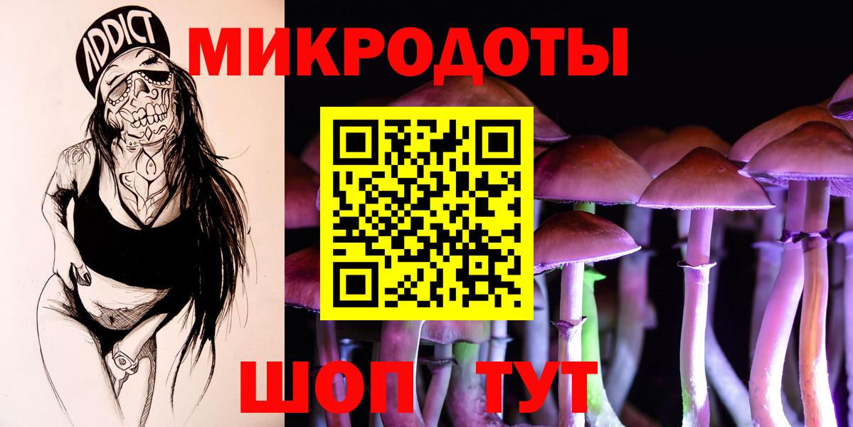Псилоцибиновые грибы Psilocybine cubensis Лесной