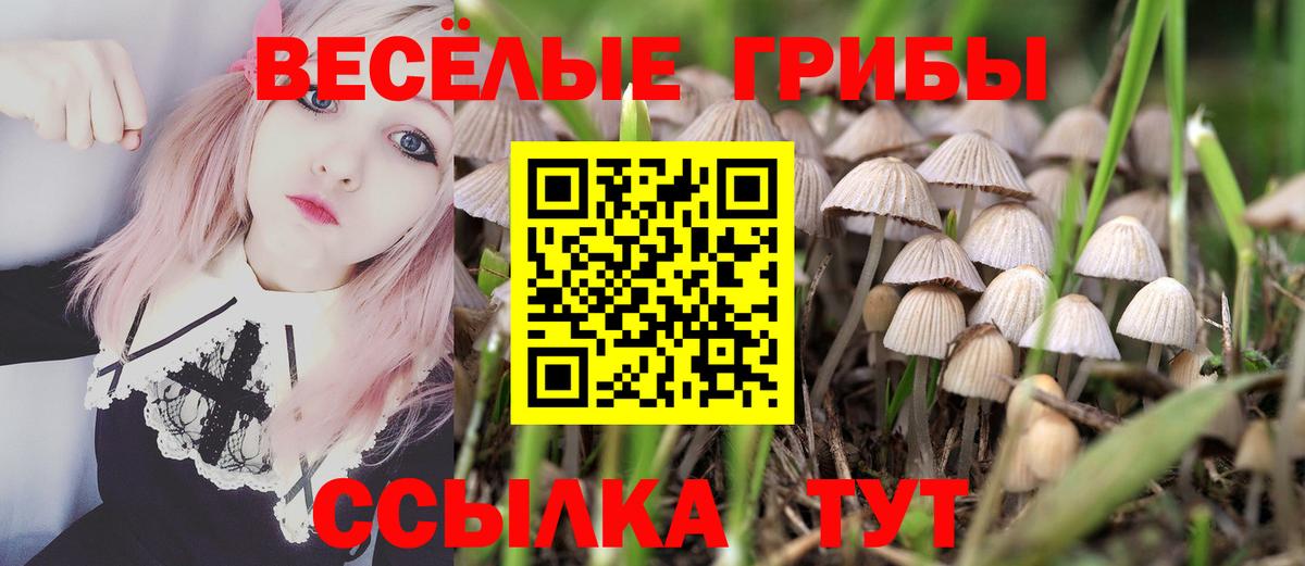 Галлюциногенные грибы прущие грибы  Галлюциногенные грибы Psilocybine cubensis  Вход с VPN  Лесной 