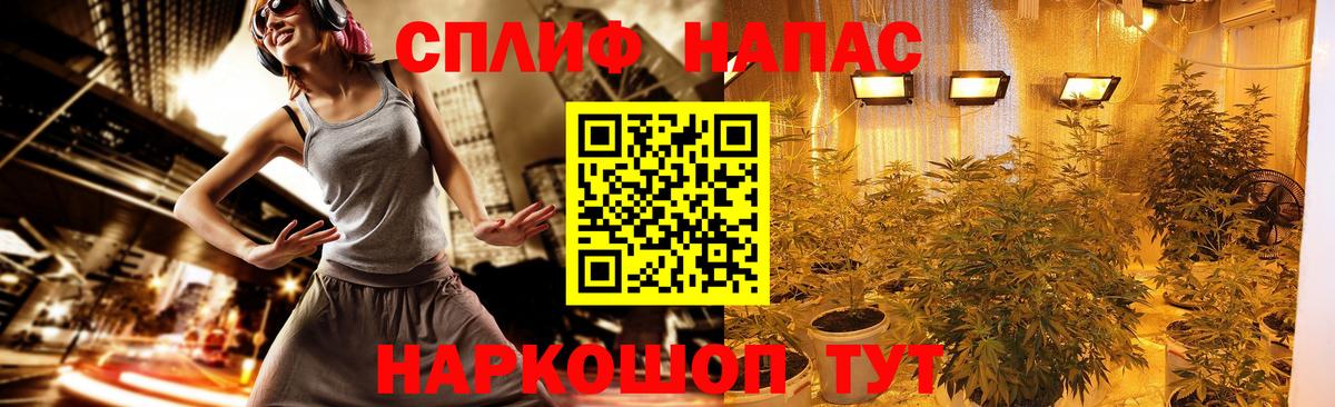 Лесной  Канабис VHQ  Вход с VPN  Шишки марихуана MAZAR  Шишки марихуана THC 21% 